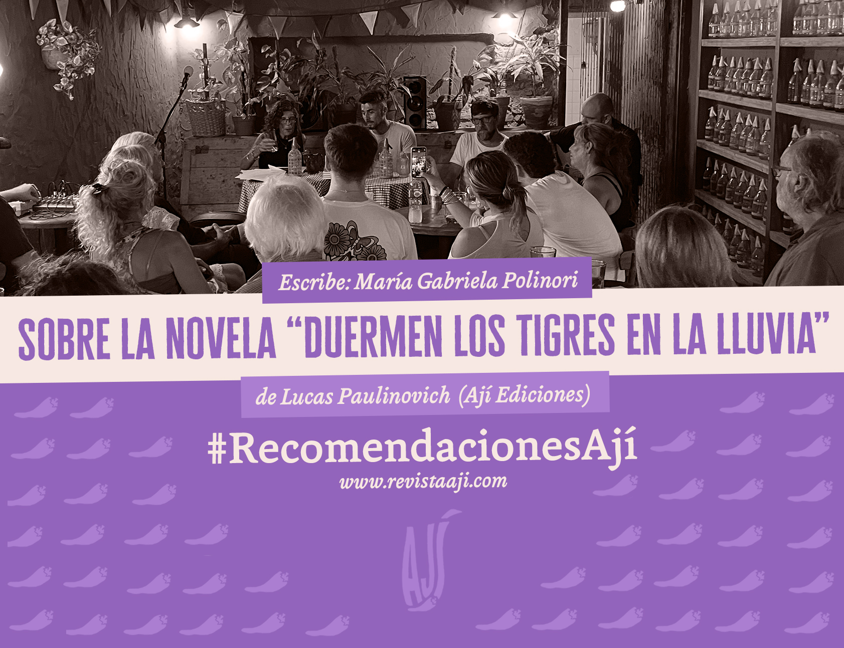 Sobre la novela «Duermen los tigres en la lluvia»