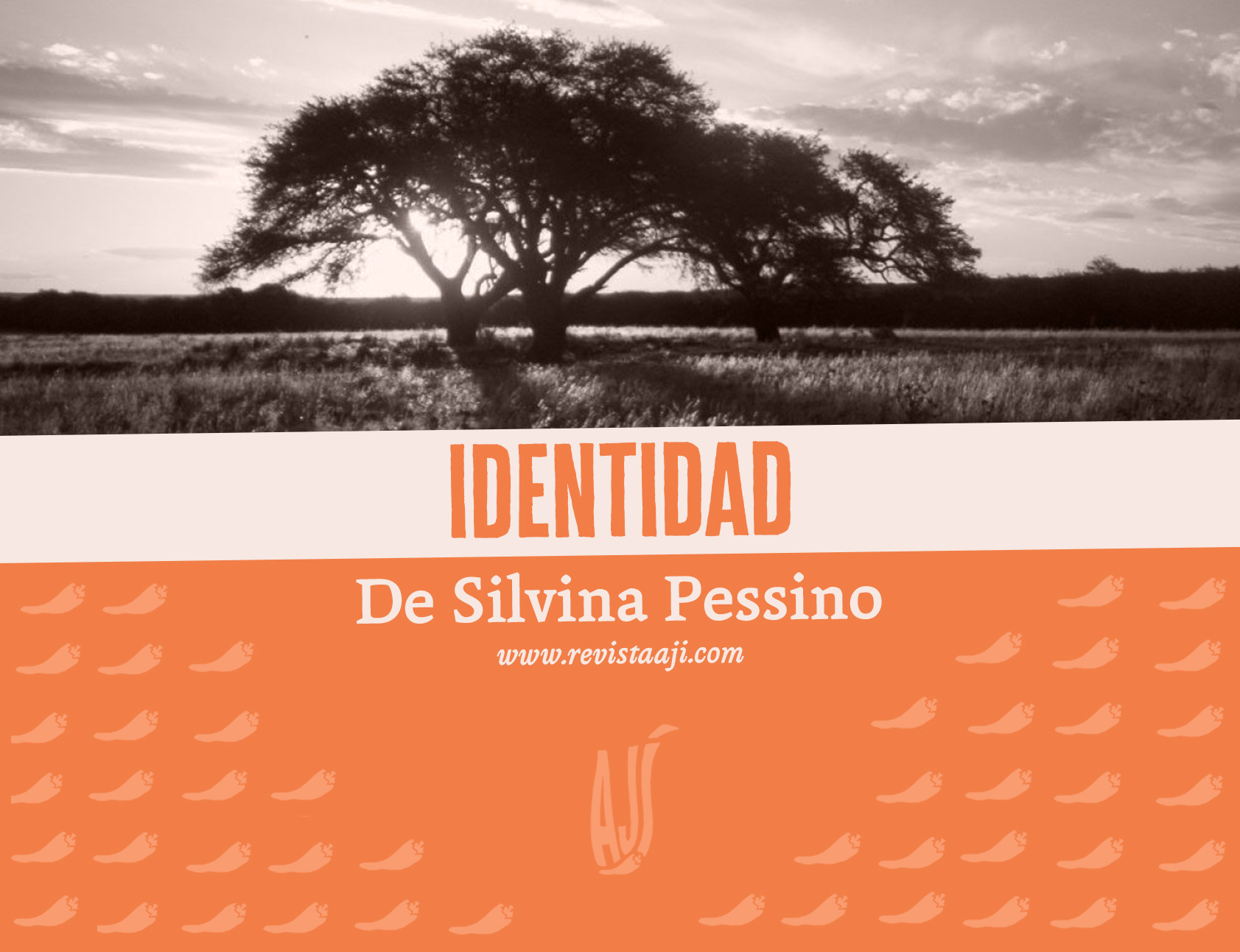 Identidad
