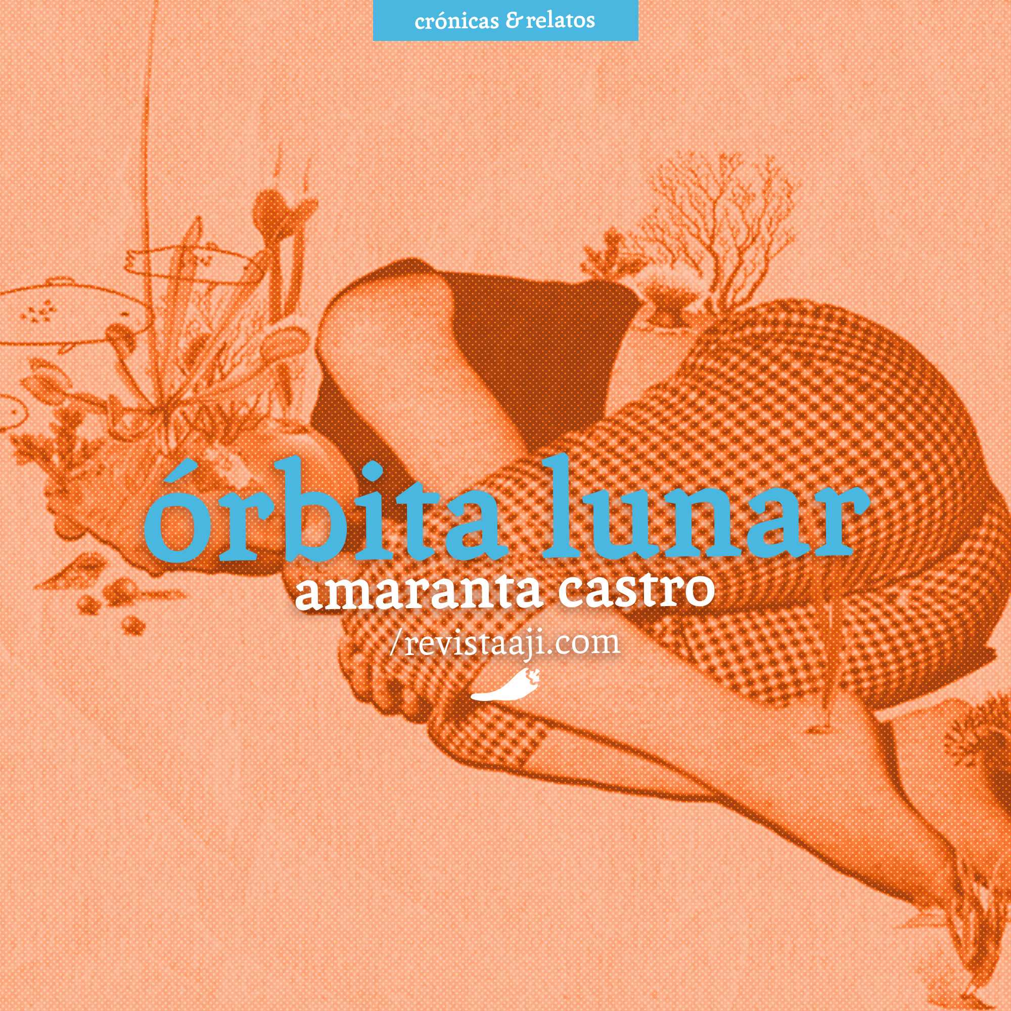 Órbita lunar